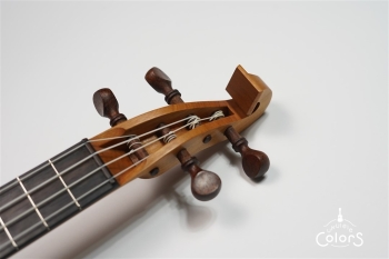 ukulele concert 14 FA.S